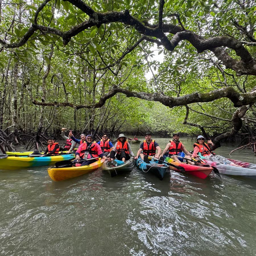 Mangrove Kayaking